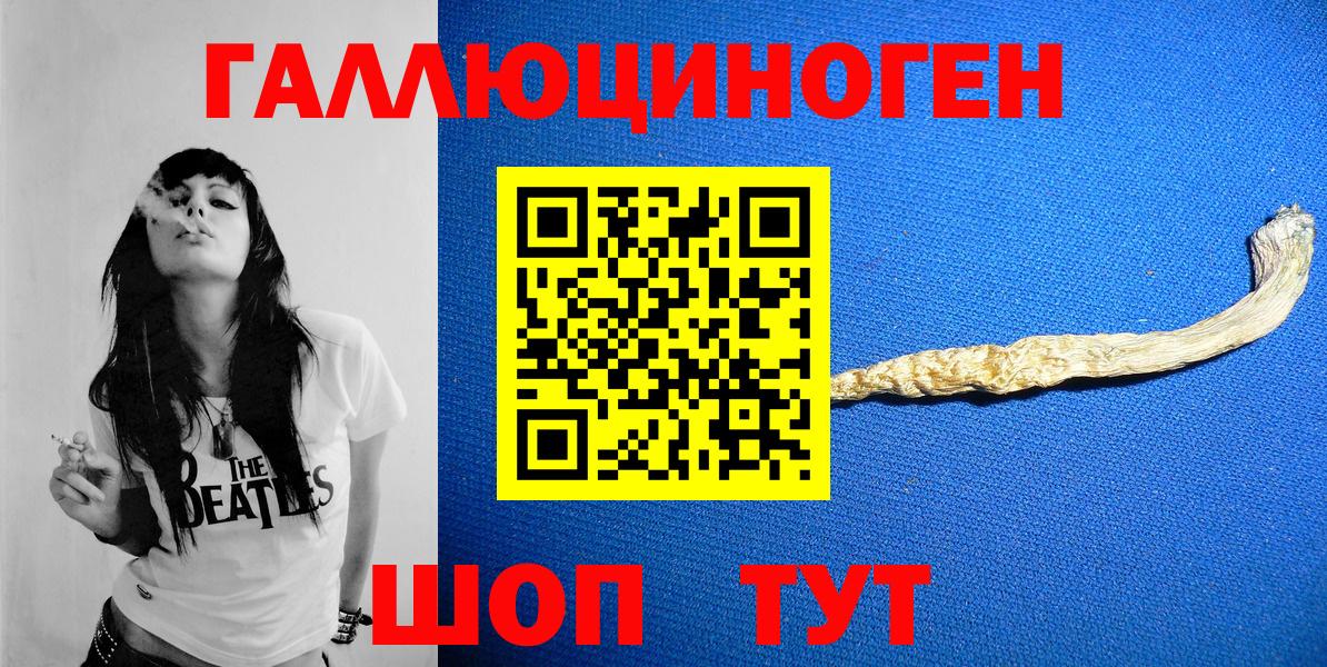 Псилоцибиновые грибы Psilocybine cubensis Верхний Уфалей