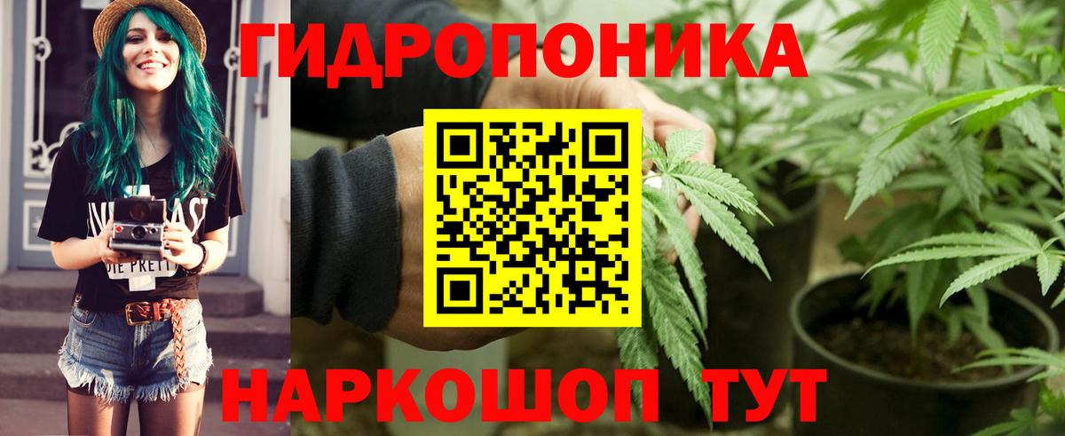 Конопля сатива Верхний Уфалей